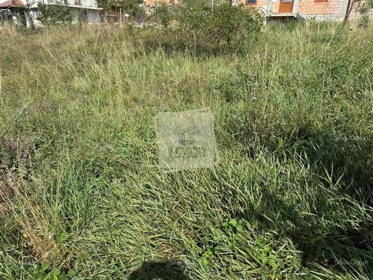 Casa individuala cu 2 camere si 495 mp teren in Sura Mare - 6