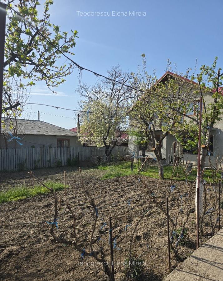 2 case in aceea?i curte Smardan, Galati - 6