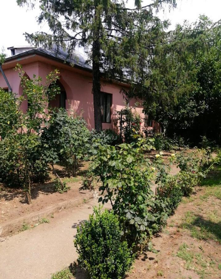 Casa spa?ioasa in Pogoanele, jude?ul Buzau - 1
