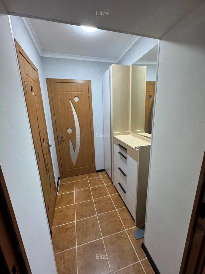 Apartament cu o camera de vanzare zona Buziasului - 3