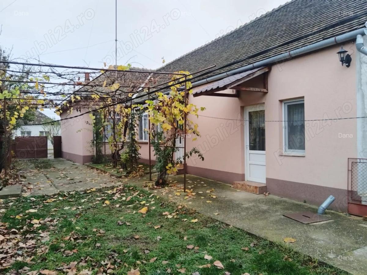 Casa de vanzare Peciu Nou - 10
