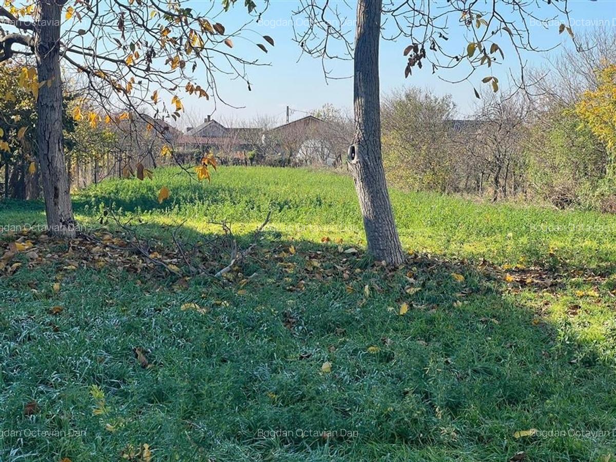 RECO Teren Unicat Sosea Nojorid - 7