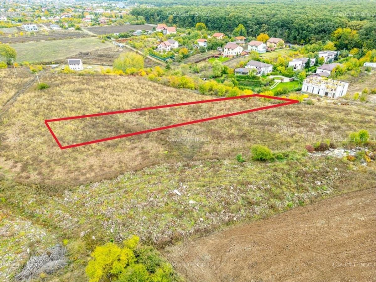 Teren 3000 mp in Snagov - zona in dezvoltare, aproape de padure - 13