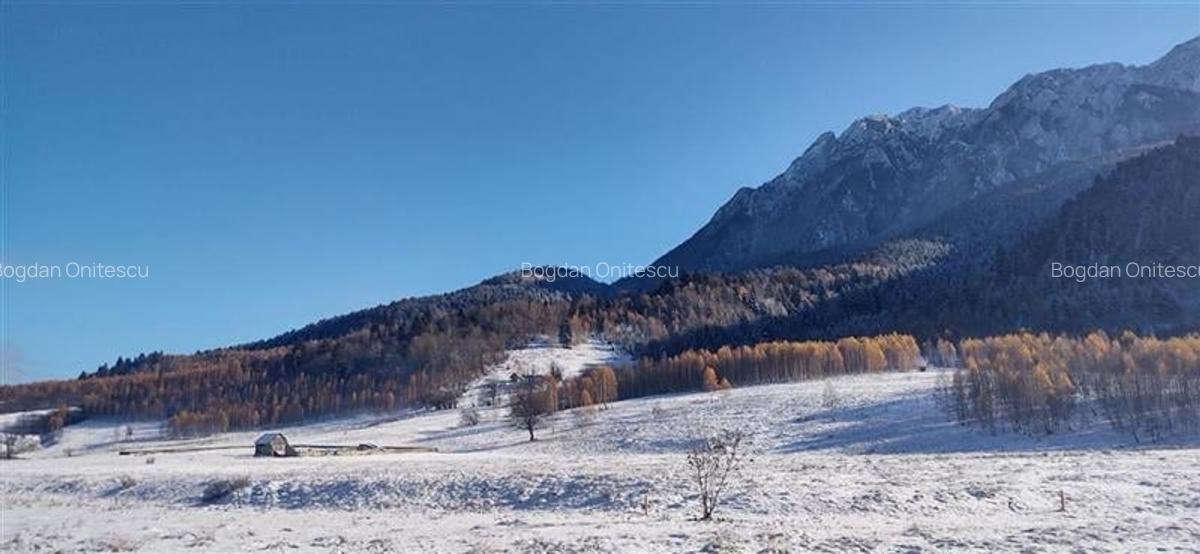 Teren Construcții intravilan de 3103 mp, în Plaiul Foii - 11