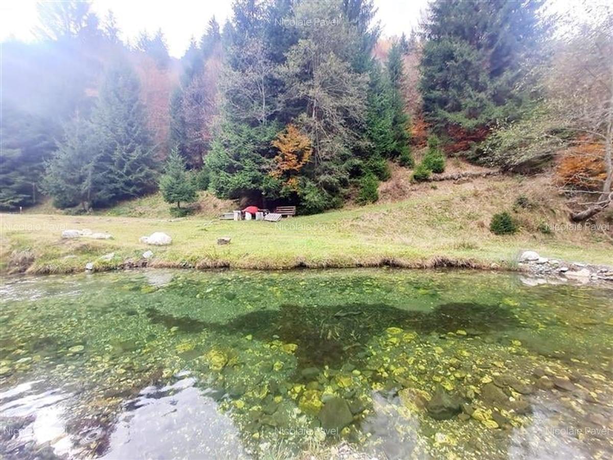 Teren intravilan panoramic 4.600mp,view iconic Piatra Craiului,oportunitate prem - 10