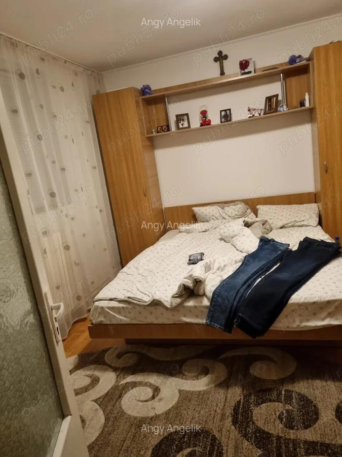 Casa pe pamant de vanzare Valu Traian - 9