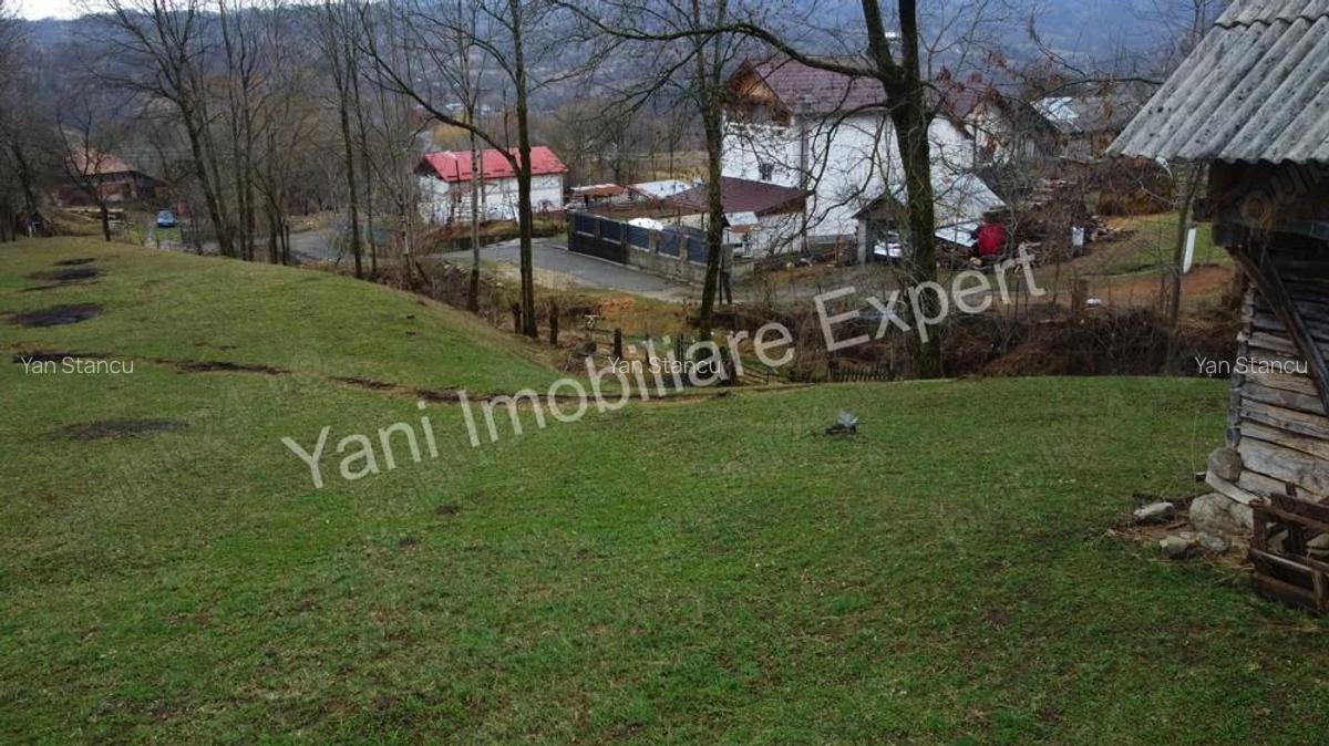 Teren de vanzare in comuna Arefu, jude? Arge?. - 13