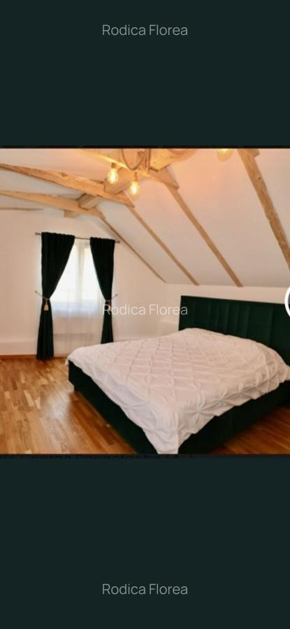 Apartament 2 camere modern-lux- Centrul Vechi Pet Friendly - 2