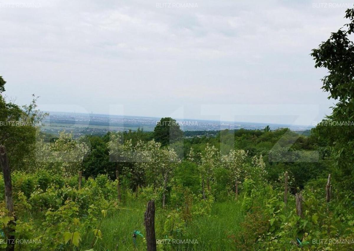 Casa individuala cu crama, teren 6700mp, Plopu - 7