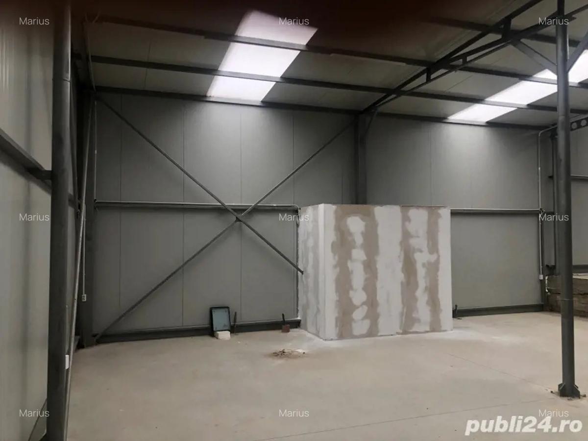 Hala de inchiriat - 4