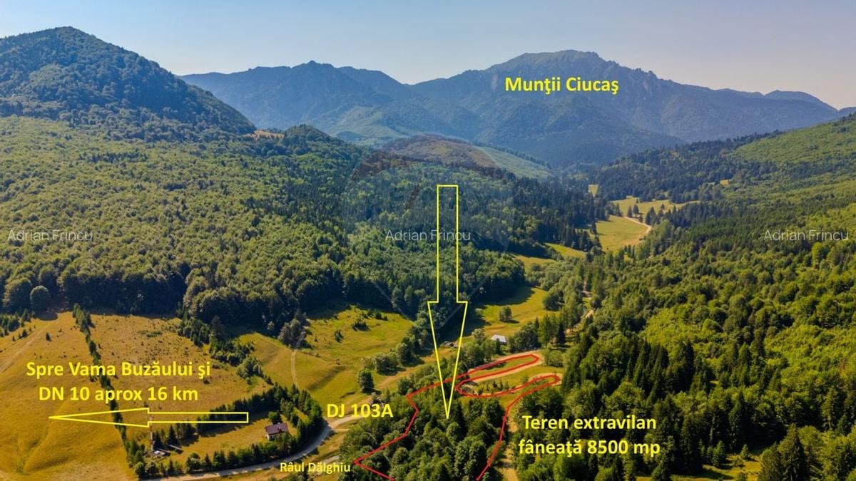 Teren 8500 mp, Valea Dalghiului - Dalghiu - vedere catre Ciucas - 15