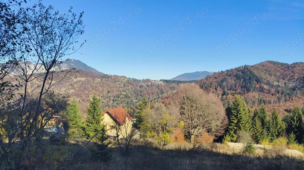 Teren intravilan -Predeal-Paraul Rece - 6