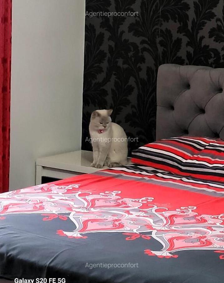 Casa Sacerdateanu superba construc?ie noua - 13