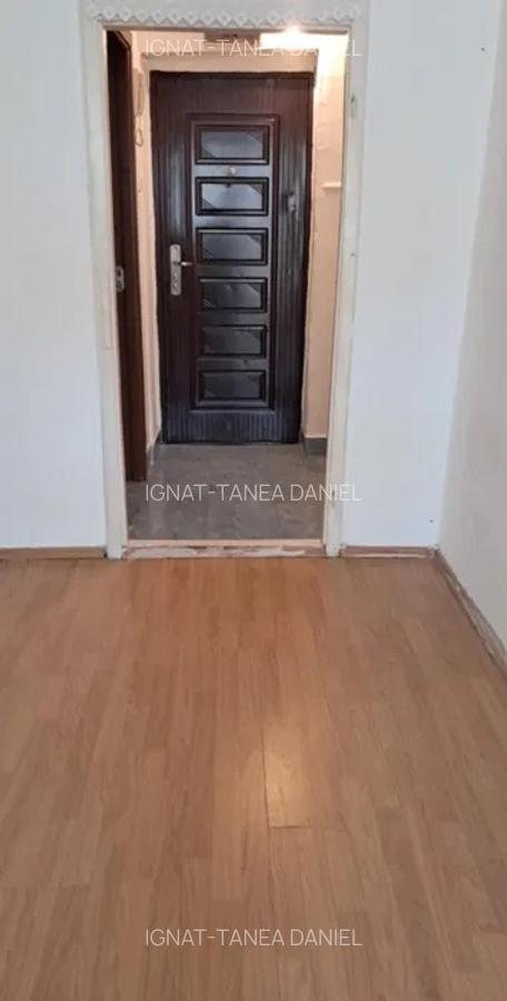 Garsonieră decomandată în Nicolina - 6