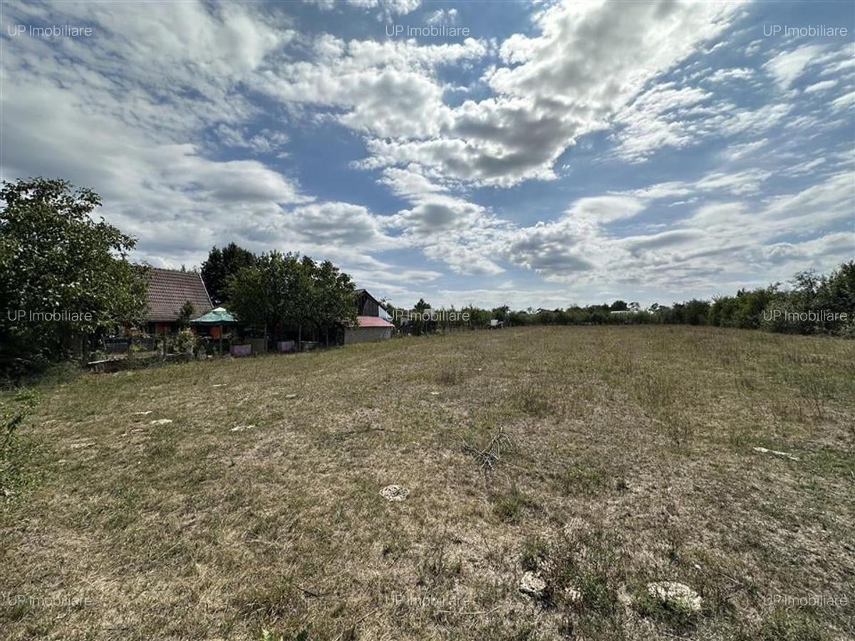 TEREN INTRAVILAN 1226 MP | ZONA CHISIRID - 3