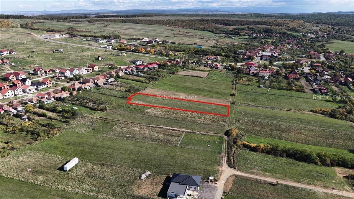 RECO Teren Intravilan Betfia - 3