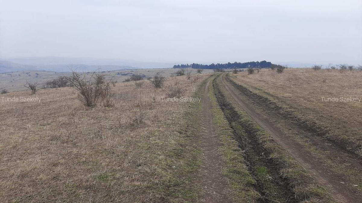 Teren agricol pentru investitii, zona Valea Calda -Iris - 10