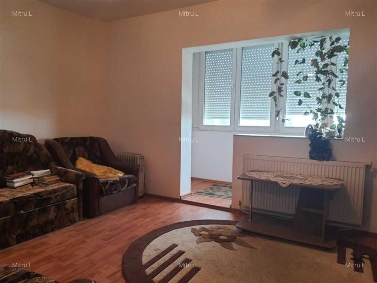 Apartament 1 camera Blascovici - 3