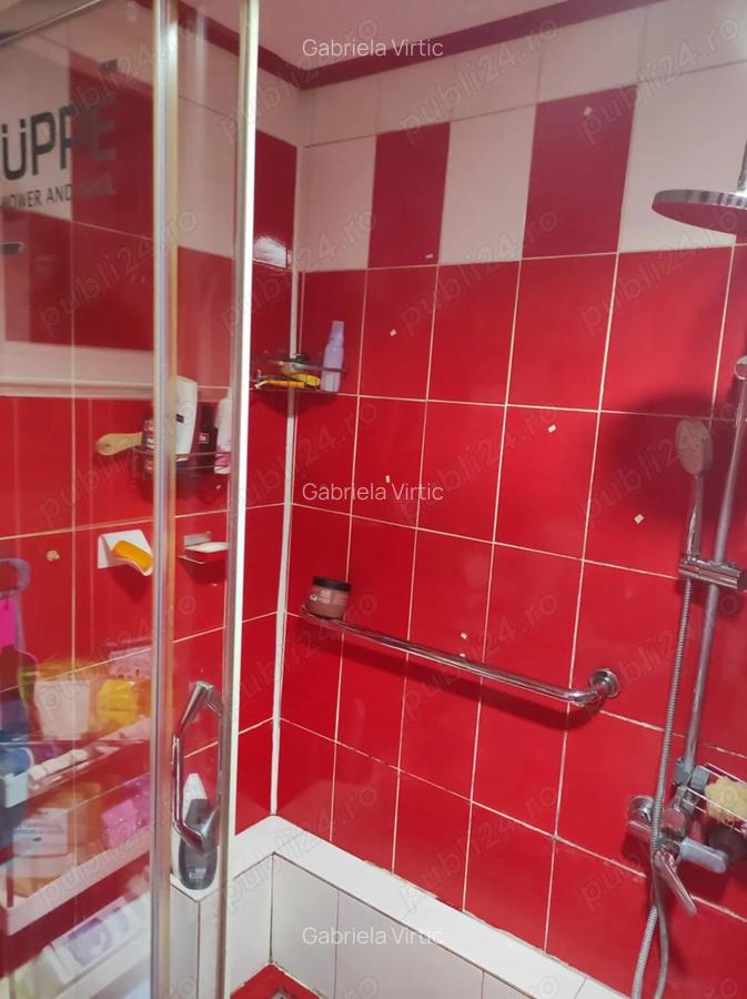 Casa de vanzare cu teren - 3