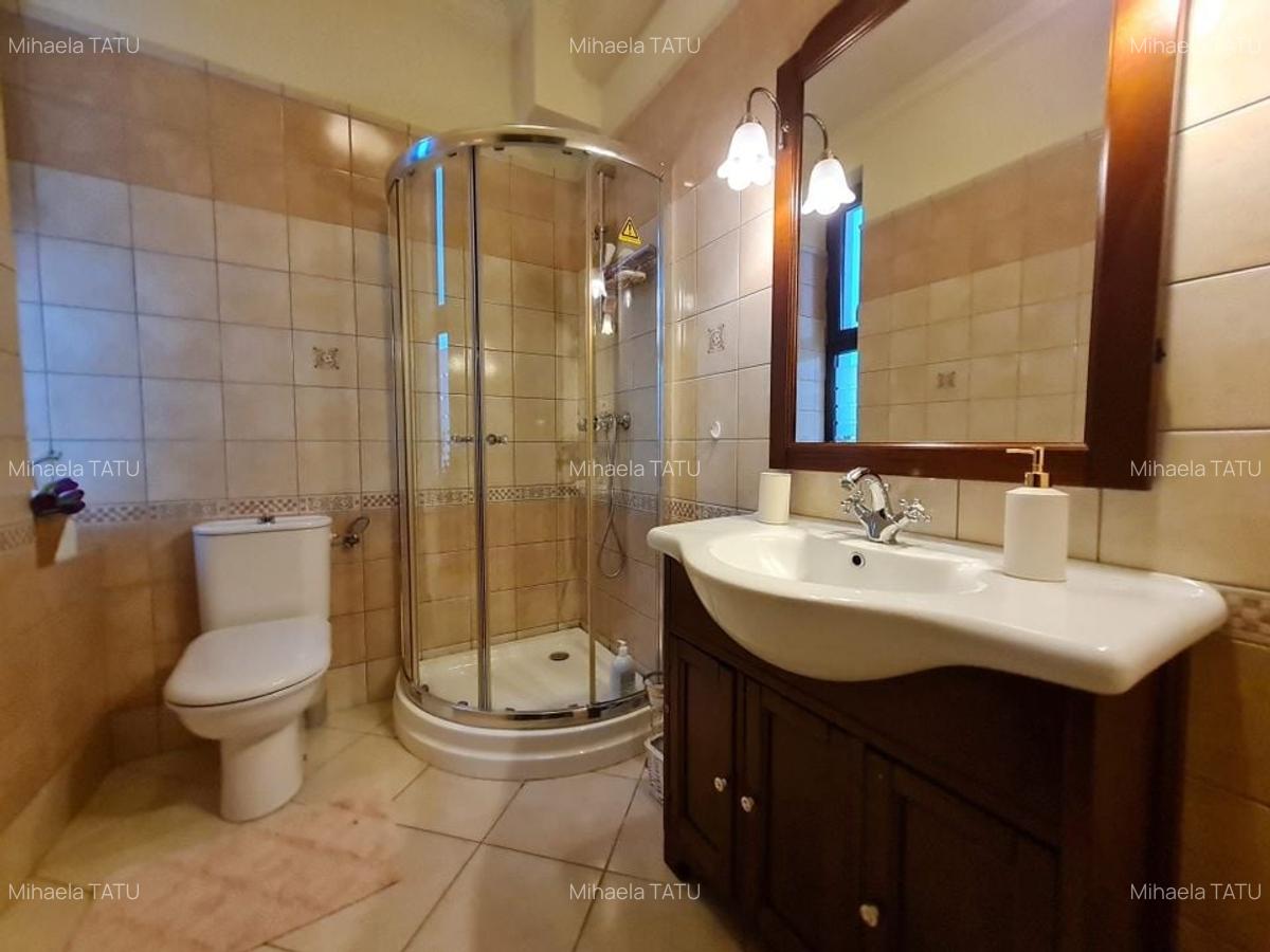 Poziție de top în Dumbravita - 12