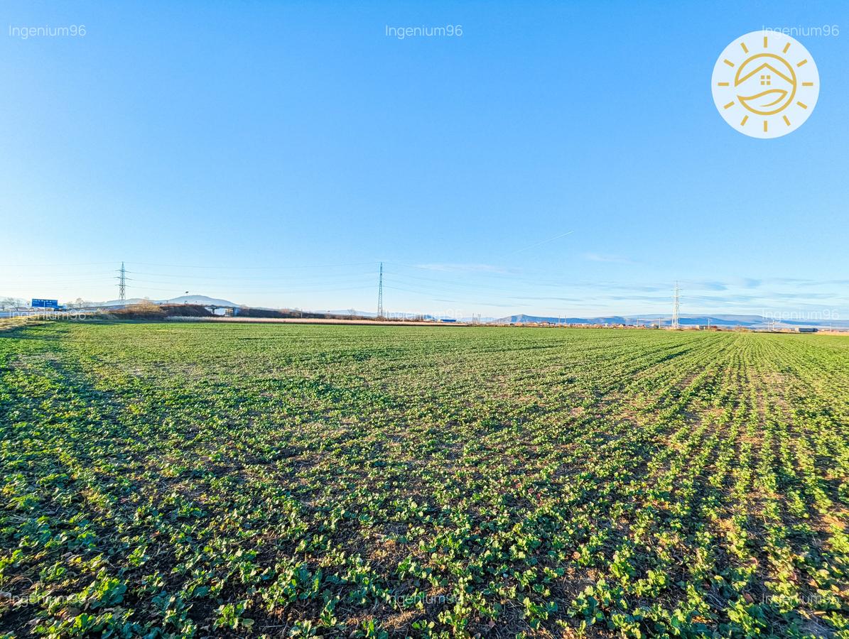 Teren intravilan 22800mp la 2km de Parcul Industrial Prejmer - 5