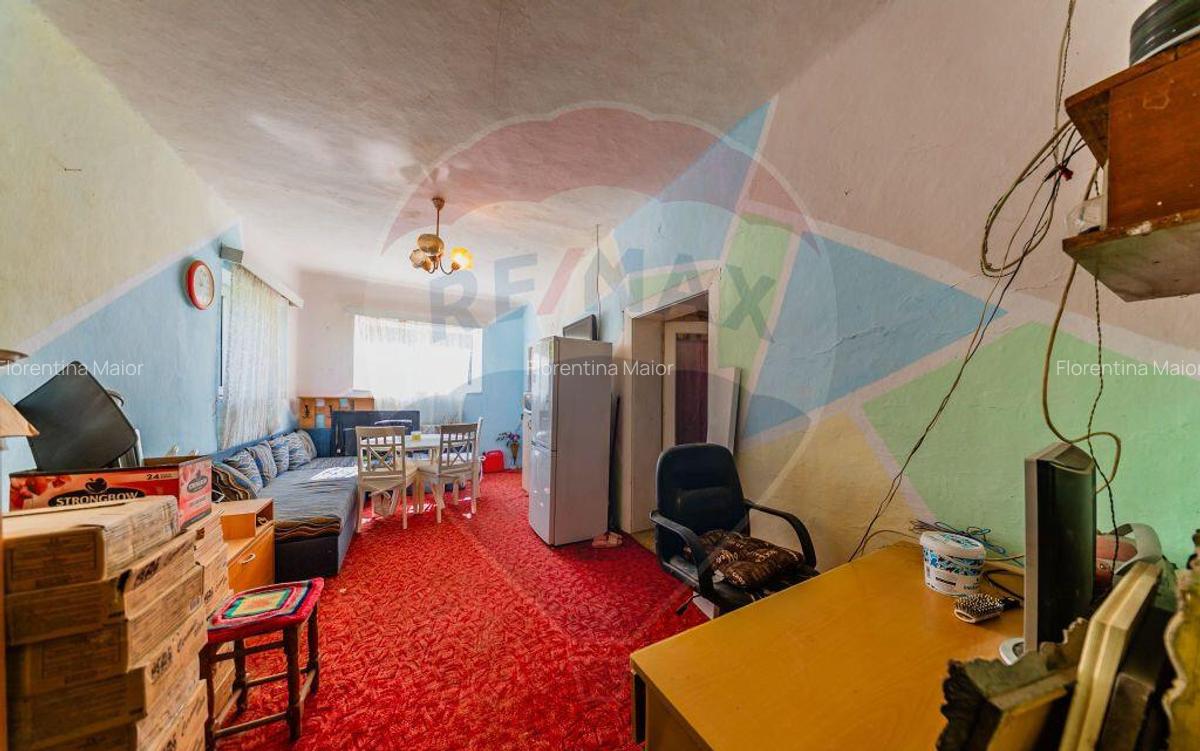 Casa + teren 2880 mp de vanzare in Tipar,Sintea Mare - 9