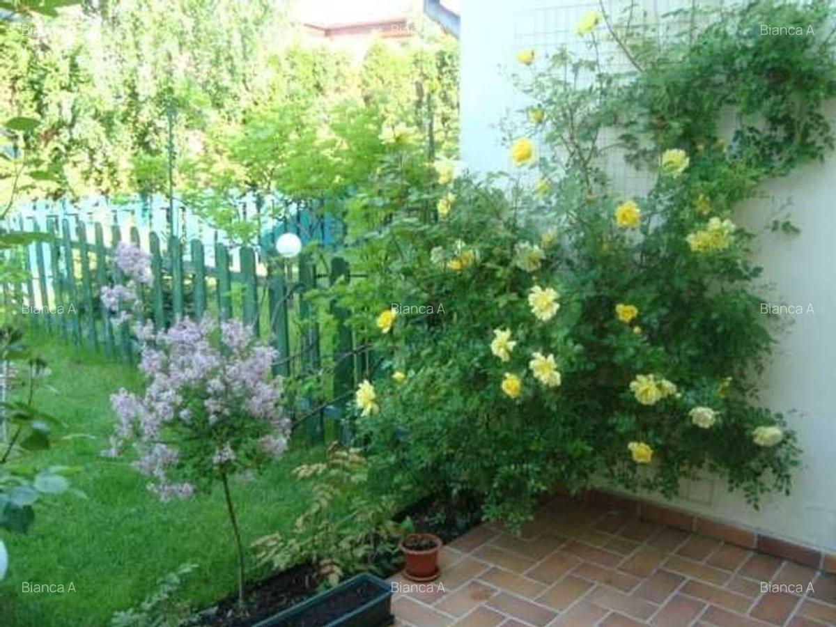 Casă Iancu Nicolae (Tecadra) | 3 camere + birou | curte - 15