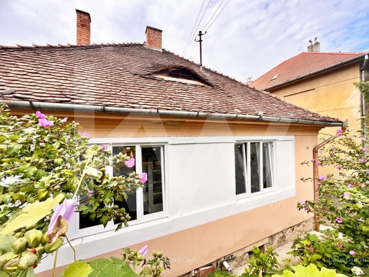 Casa pe un singur nivel cu 3 camere+pivnita. Pod si curte-Zona Sub Arini - 5