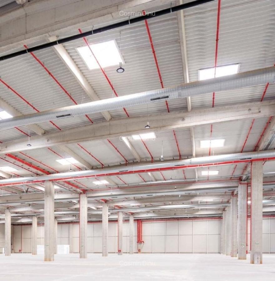 Spațiu industrial, 38900 mp în Theodor Pallady - 3