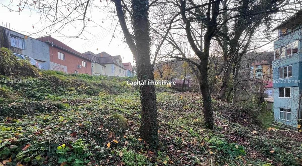 Teren intravilan 1001 mp in Re?i?a, aproape de centru - 3