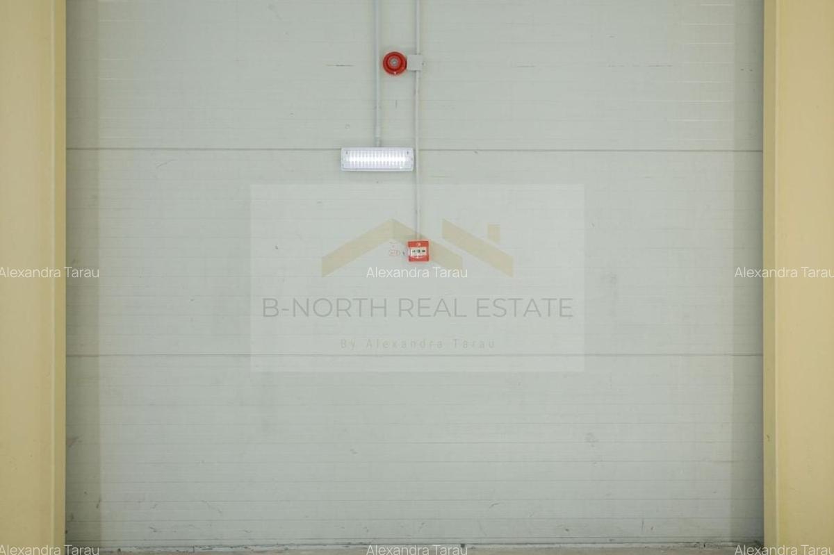 Hala industrială 2.000 mp • Depozitare / Producție • Rampe încărcare • Otopeni - 9