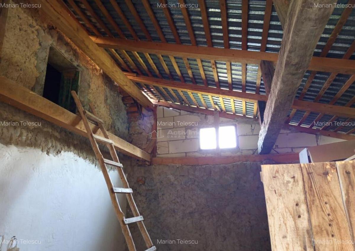 Ilidia, Casa de Vacanta, 3 Camere, 899mp Teren, Usor Negocia - 17