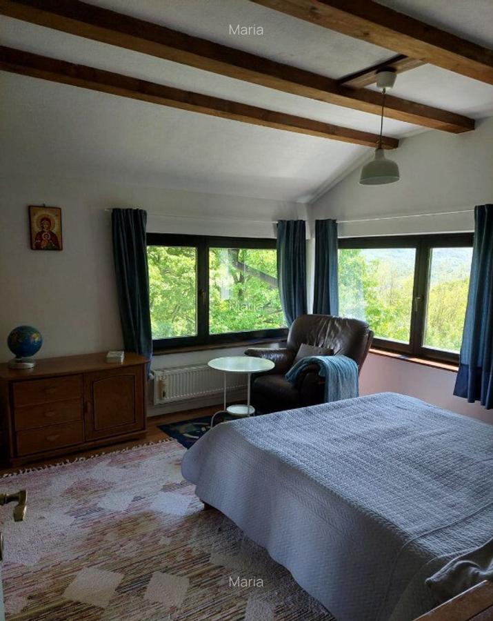 Casa cu peste 1HA pamant la poalele muntelui Cozia - 7