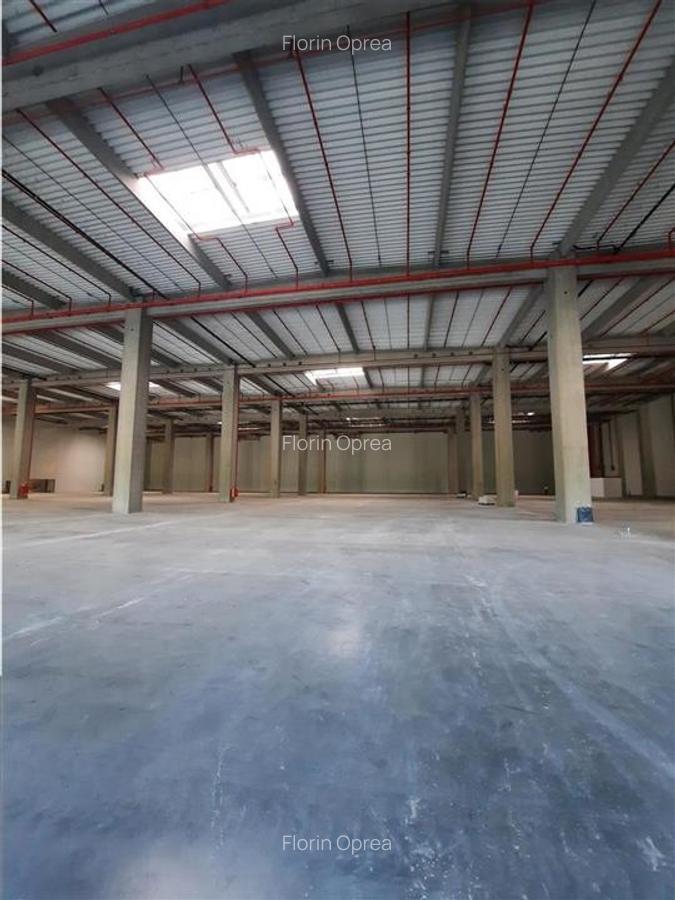 Spatiu Industrial - 4600 mp - Logistica - Productie - Depozitare - Distributie - 5