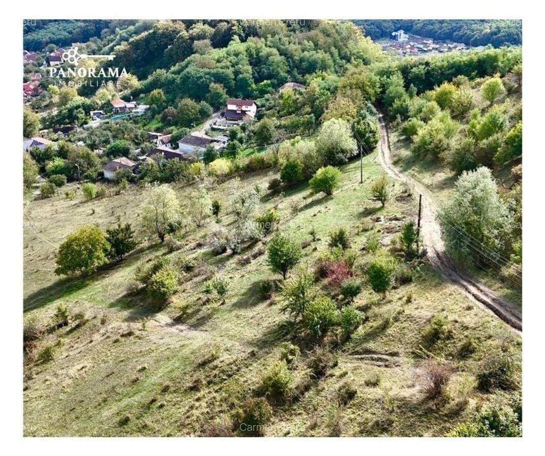 Teren intravilan cu vedere panoramică  4230mp - Mediaș - 5