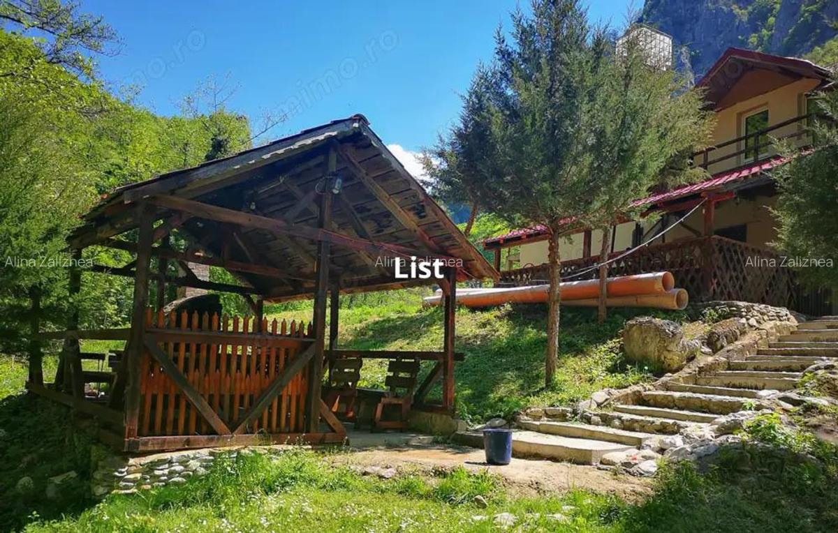 Casa de vacanta perfecta pe malul Cernei - 5