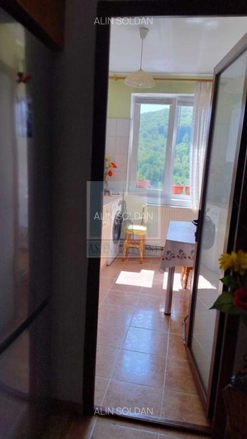 Apartament cu 3 camere decomandat în Noua - 4