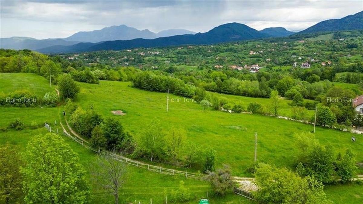 Film! Domeniu pe 11.000mp intravilan, panorama montana,Bran,Sohodol - 13