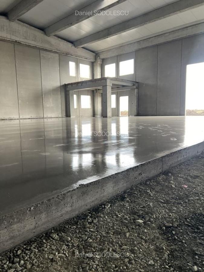 Spațiu industrial, 523 mp în Sânandrei - 3