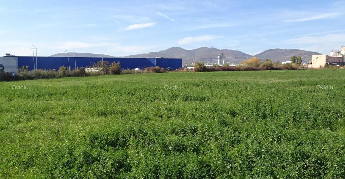 Vand teren intravilan in Deva suprafata totala 43 000 mp, zona Auchan - 4