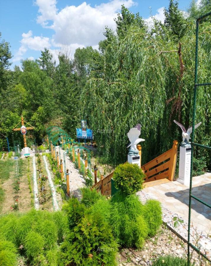 Vand casa cu livada in satul Ionesti Arges - 9