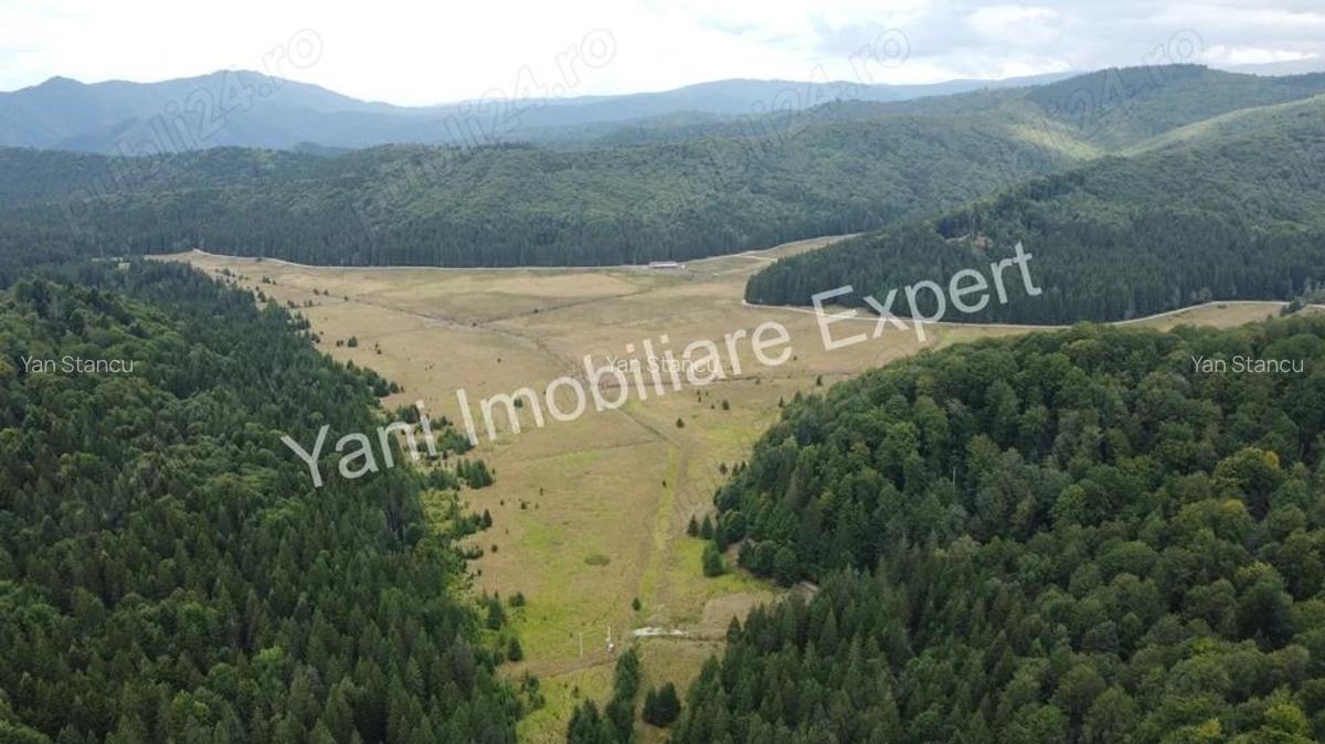 Teren de vanzare in apropiere de Transfagara?an ?i Valea Valsanului. - 6