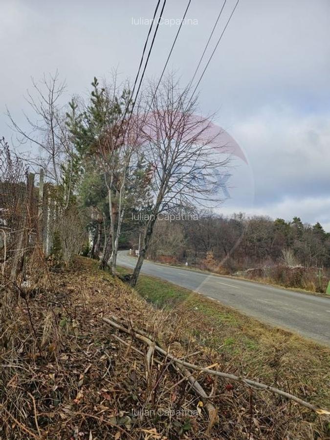 DE VANZARE TEREN INTRAVILAN CISNADIOARA Str. SIBIULUI DJ 106D - 9