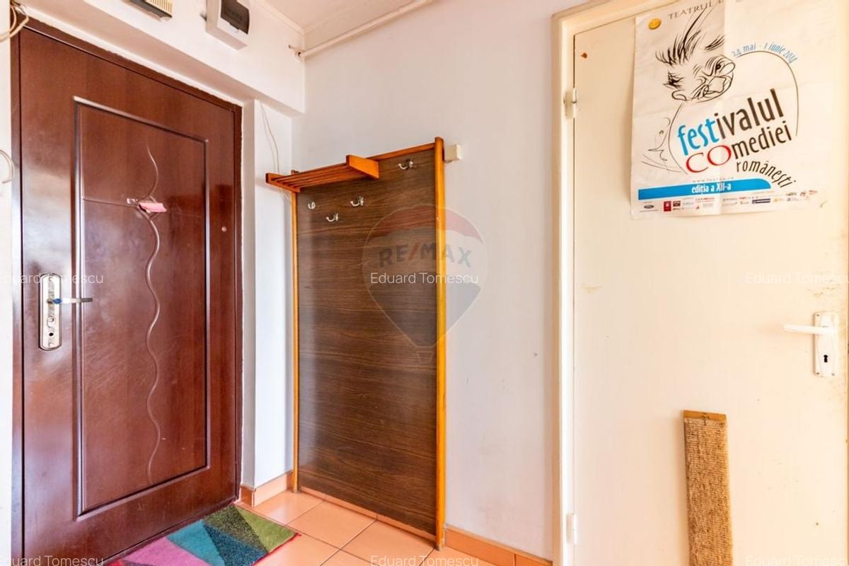 Apartament cu 2 camere semidecomandat în Gorjului - 9