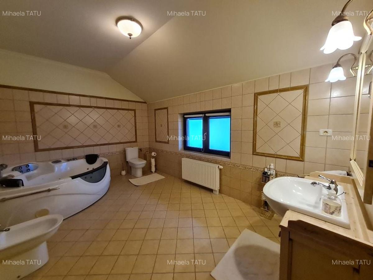 Poziție de top în Dumbravita - 11