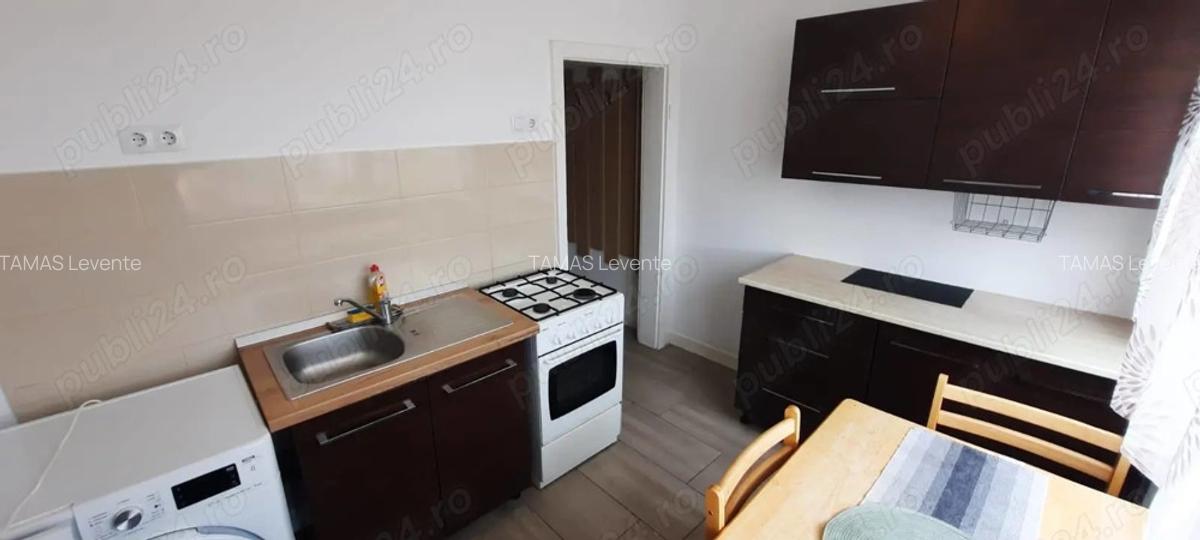 PF Inchiriez Ap 1 Cam str.Horea Centru - 2