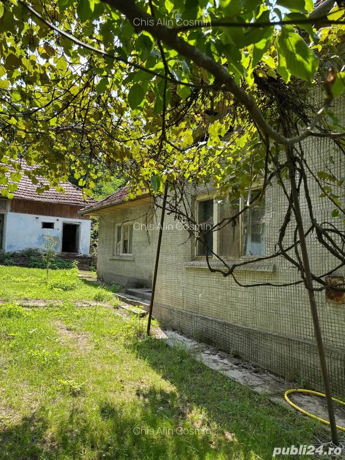 Casa de vanzare in localitatea Vicea - 5