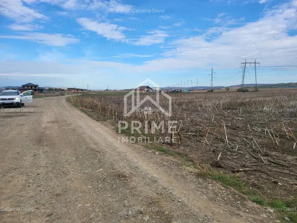 Teren de vanzare in Oarda de Jos , 8300 mp din care 2700 mp intravilan - 1