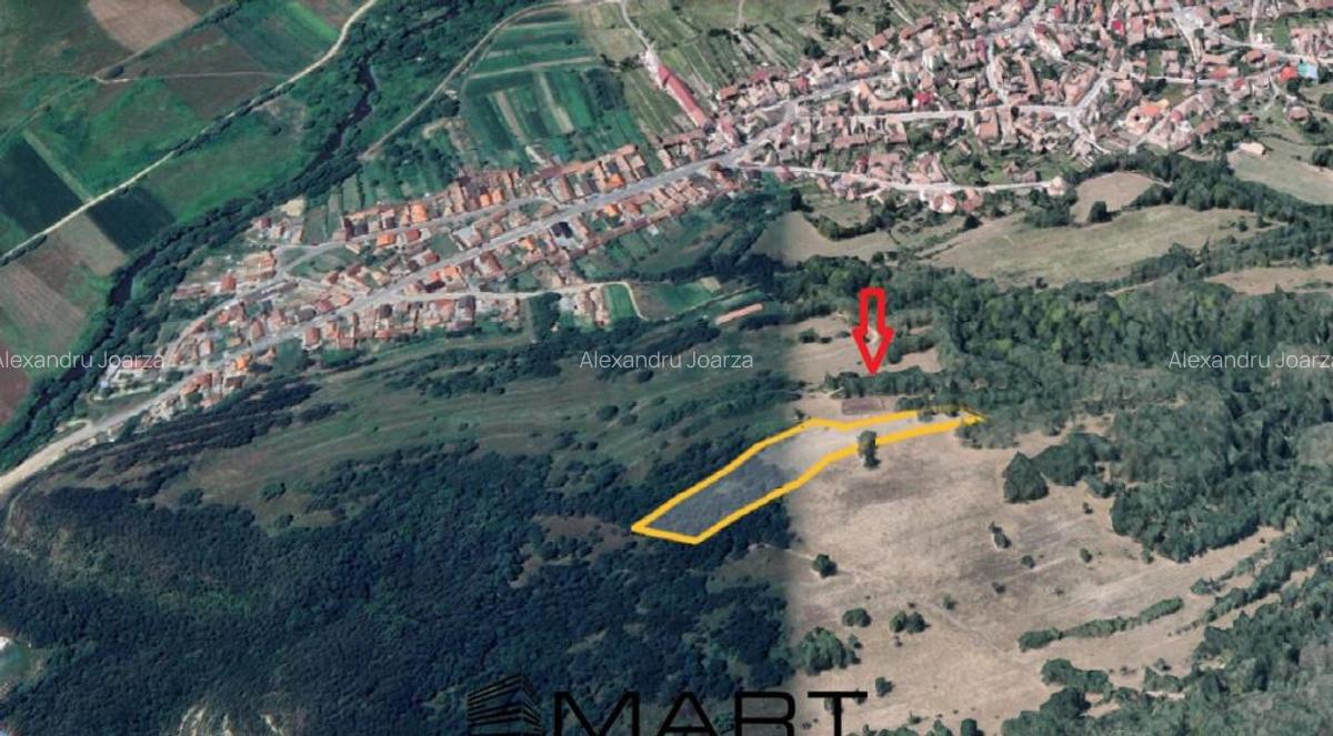Teren extravilan 5500 mp, la padure zona Selimbar (Mohu) - 2 Teren extravilan 5500 mp, la padure zona Selimbar (Mohu) - 2