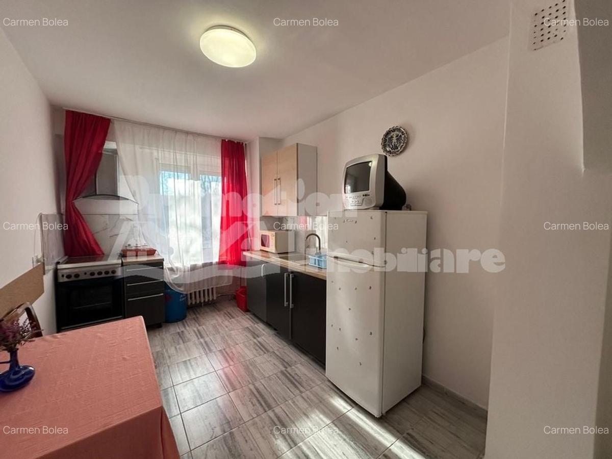 Apartament cu o camera parter, renovat, Dimitrie Cantemir - 9